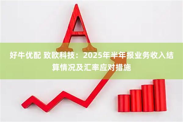 好牛优配 致欧科技：2025年半年报业务收入结算情况及汇率应对措施