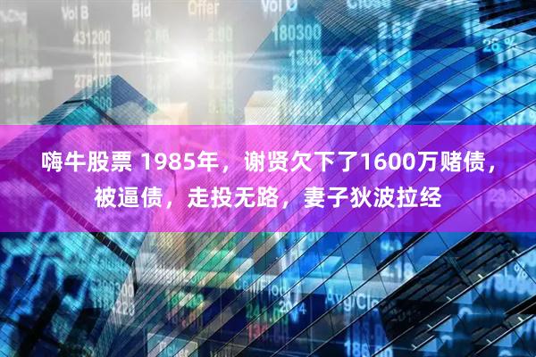 嗨牛股票 1985年，谢贤欠下了1600万赌债，被逼债，走投无路，妻子狄波拉经