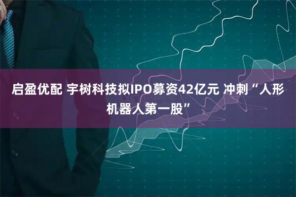 启盈优配 宇树科技拟IPO募资42亿元 冲刺“人形机器人第一股”